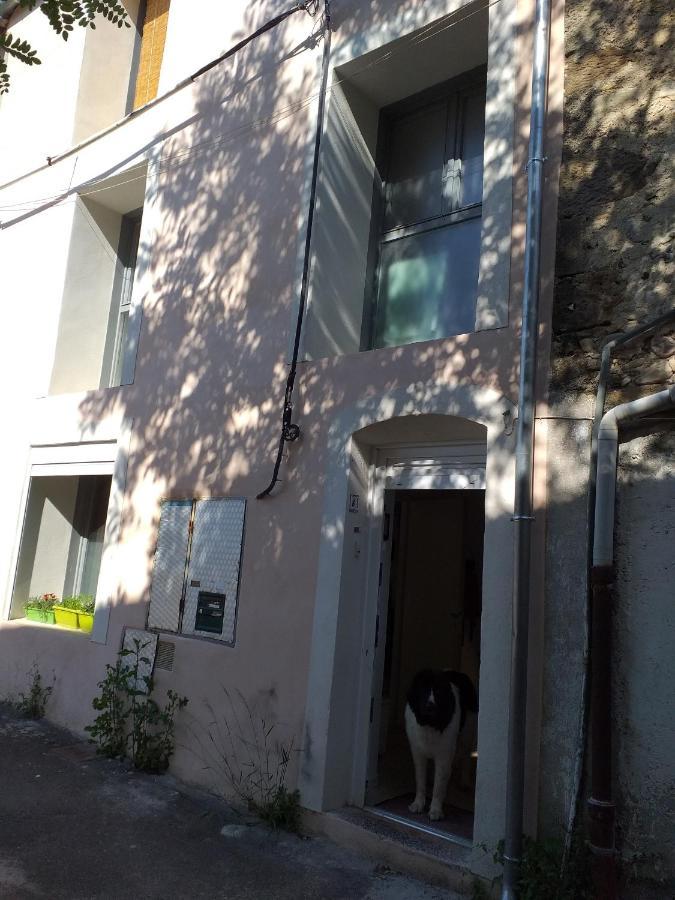 Apartament La Maison D Annick Lodève Zewnętrze zdjęcie